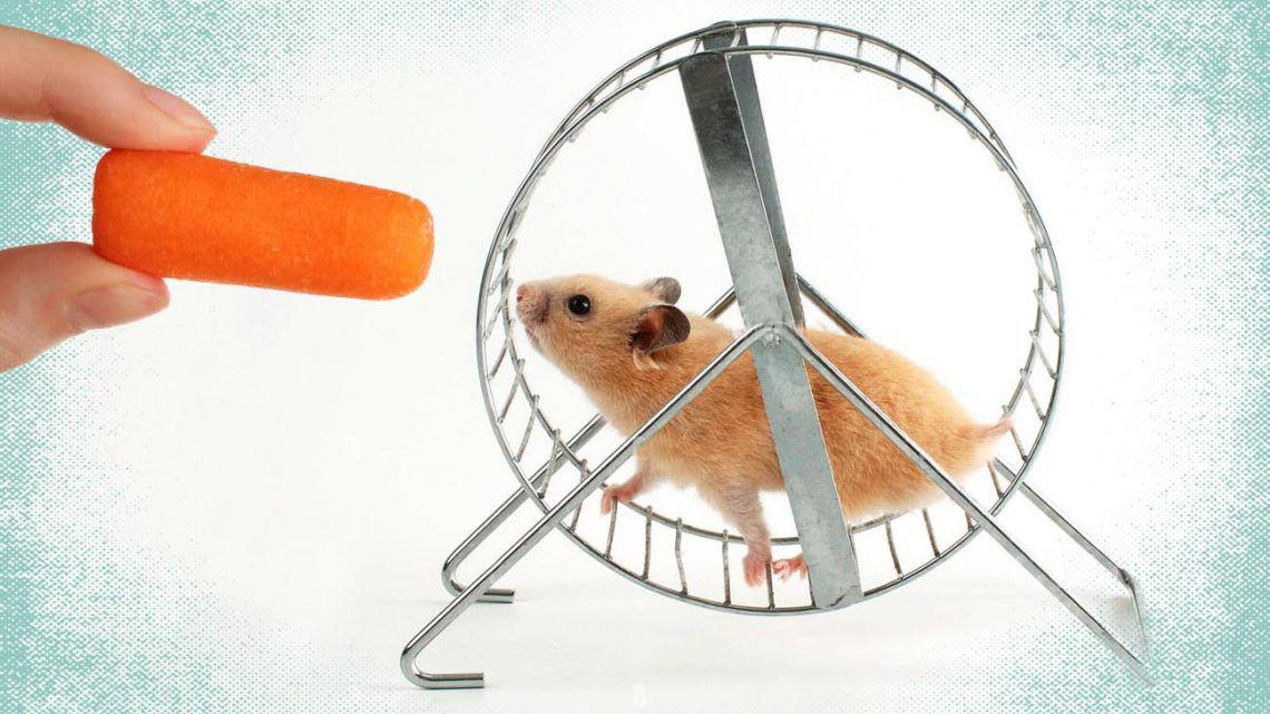 Blaming The Rich In Argentina, A Peronist Tactic