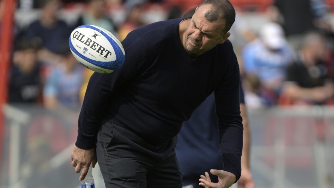 Busy Argentina boss Cheika has no qualms over rugby job-juggling