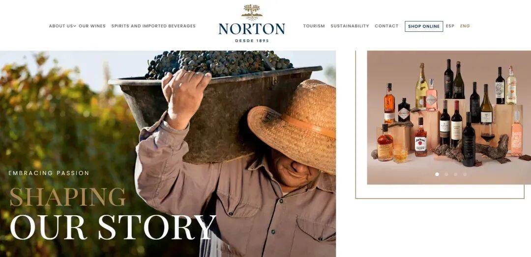 What Is Happening in Argentina&rsquo;s Wine Industry?