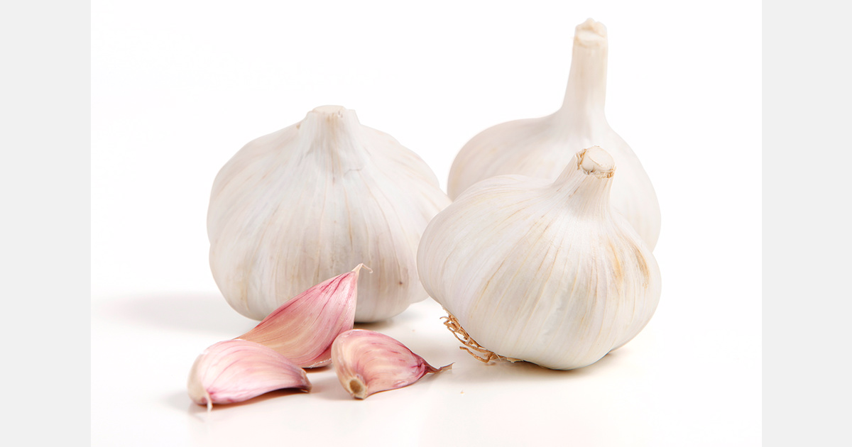 Garlic's economic importance in Mendoza increases despite Chinese competition